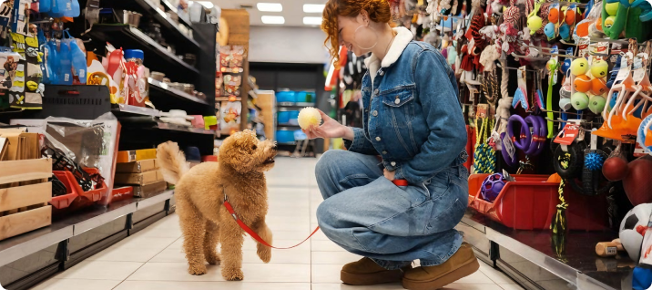 What is Petfairs